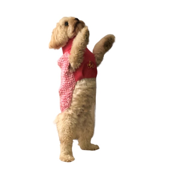 Jijora Other - Fur Baby Pet Jacket Warmer